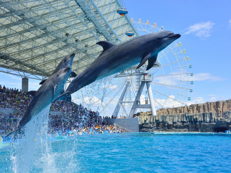 画像：名古屋港水族館