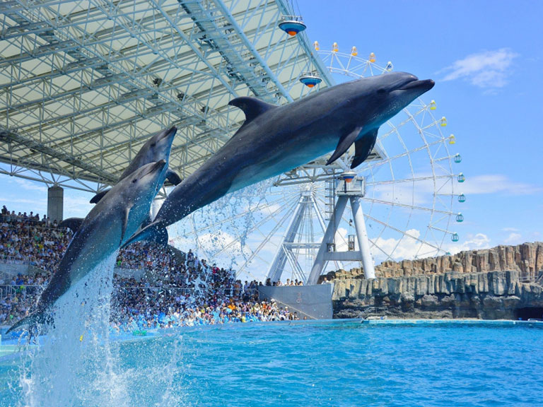 画像：名古屋港水族館